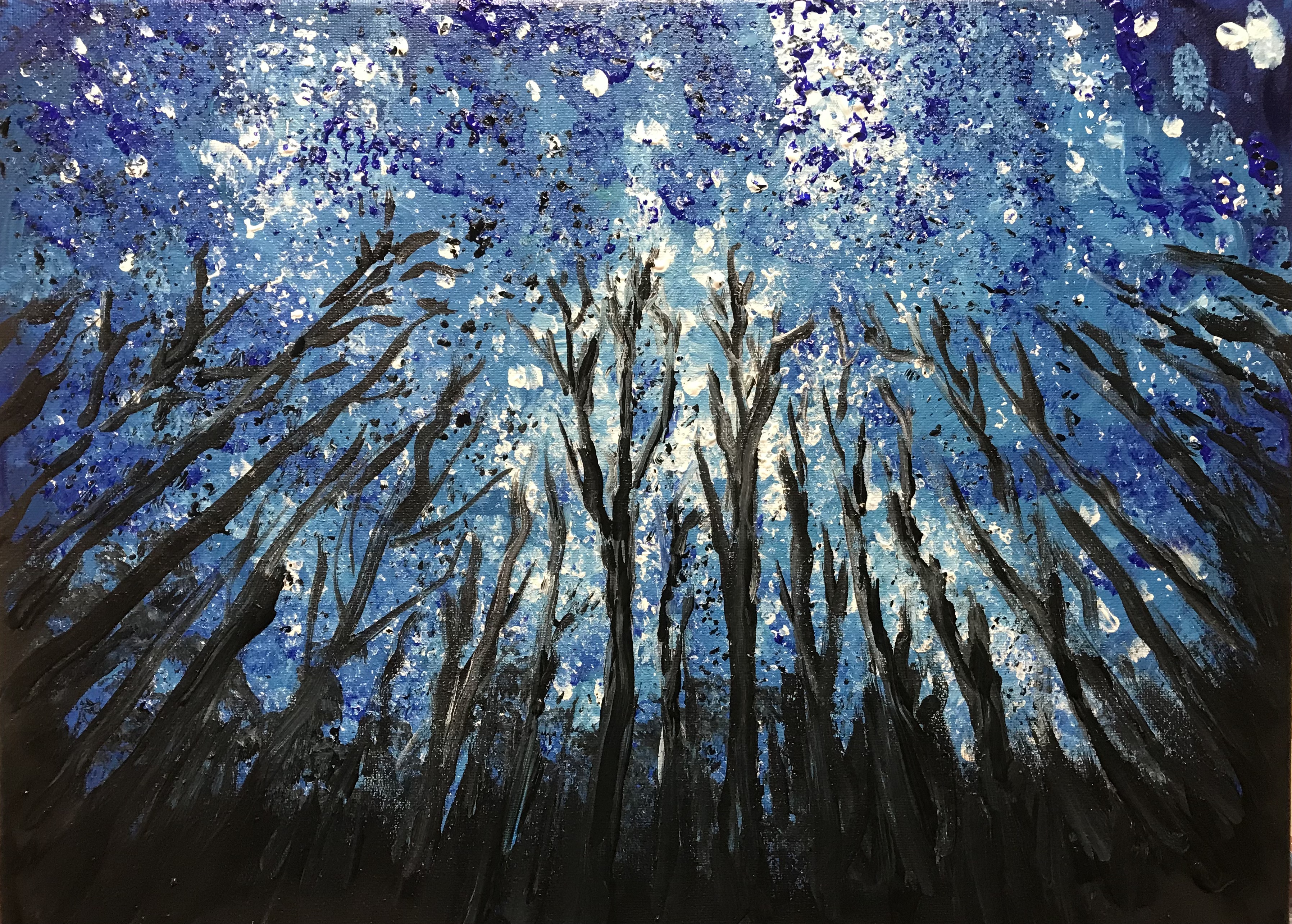 Stary Night in a Forest